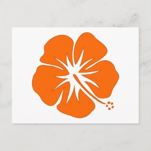 Orange Hibiskus Postkarte