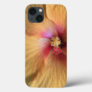 Orange Hibiskus Ruffle Case-Mate iPhone Hülle