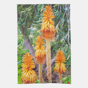 Orange Hot Poker Blume, Geschirrtuch