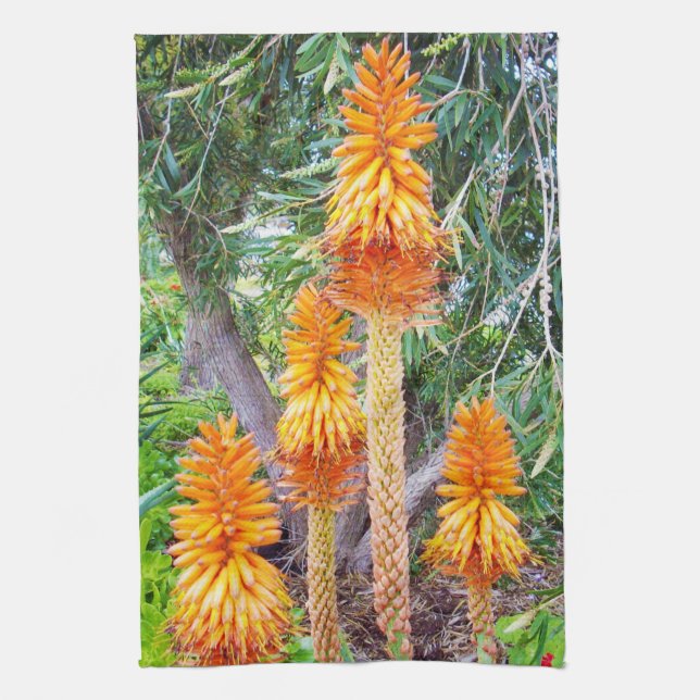 Orange Hot Poker Blume, Geschirrtuch (Vertikal)
