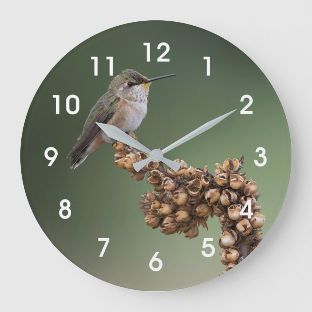 Orange Hummingbird  Große Wanduhr (Vorderseite)