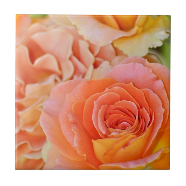 Orange Hybrid-Tee-Rose Fliese (Vorderseite)