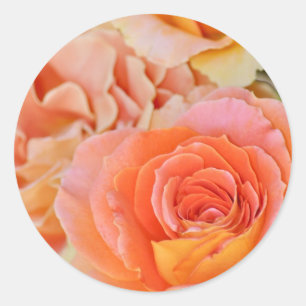 Orange Hybrid-Tee-Rose Runder Aufkleber