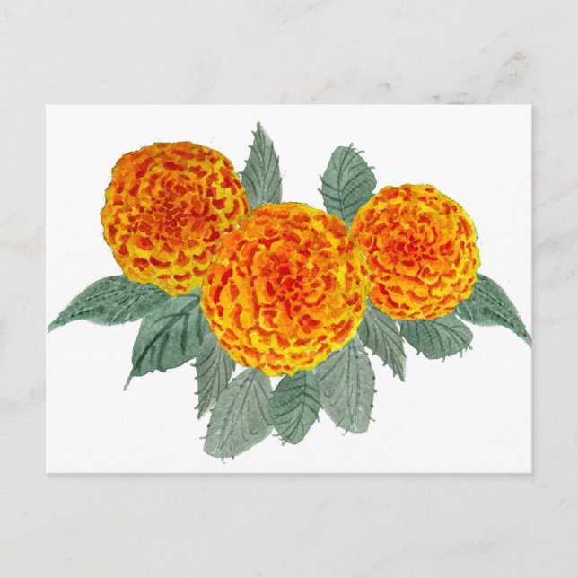 Orange Hydrangea Blume Postkarte (Vorderseite)