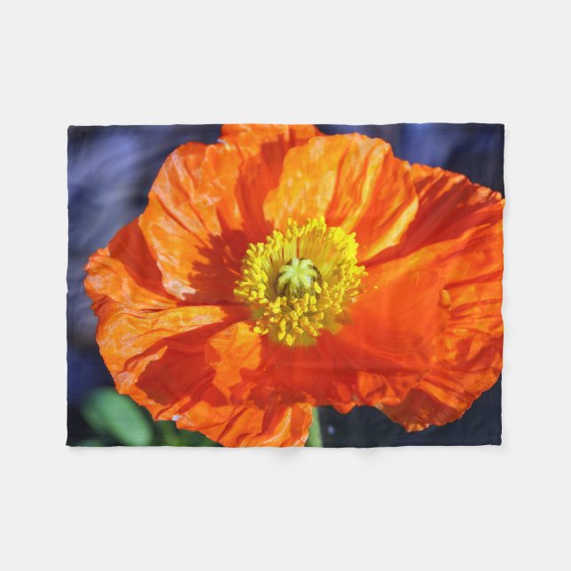 Orange Icelandic Poppy Fotografie Fleecedecke (Vorderseite (Horizontal))