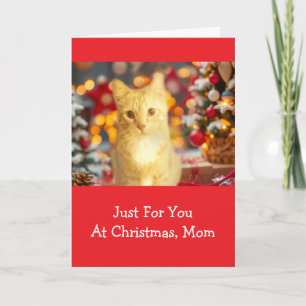 Orange, Ingwer "Für Mama" Weihnachten