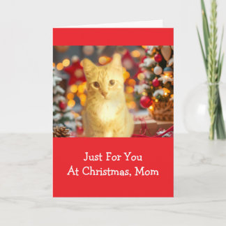 Orange, Ingwer "Für Mama" Weihnachten