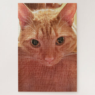 Orange/Ingwer Niedlich und Fuzzy Tabby Cat Puzzle