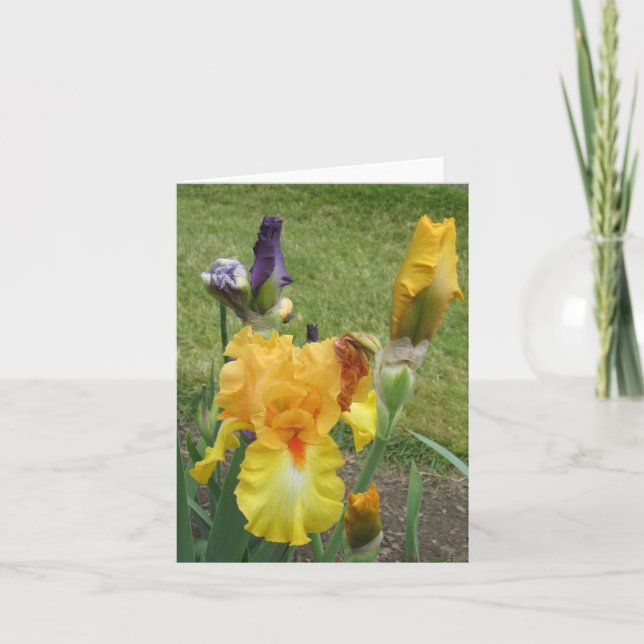 Orange Iris Kleine Note Karte (Vorderseite)