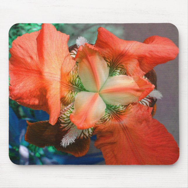 Orange Iris Mousepad (Vorne)