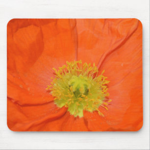 Orange Island-Mohnblume III Mousepad
