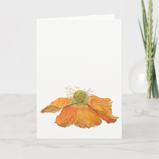 Orange isländische Mohnblumen-Gruß-Karte 5" x 7" Karte (Vorderseite)