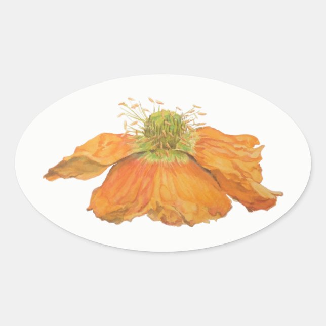 Orange isländische Mohnblumen-ovale Aufkleber, Ovaler Aufkleber (Vorderseite)