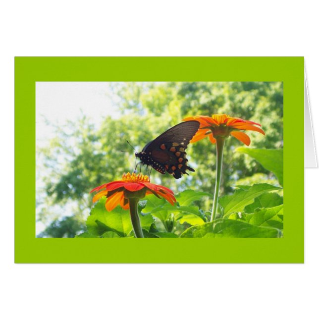 Orange ist meine glückliche Farbe (Vorderseite (Horizontal))