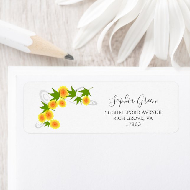 Orange japanische Blume weiß (Insitu)