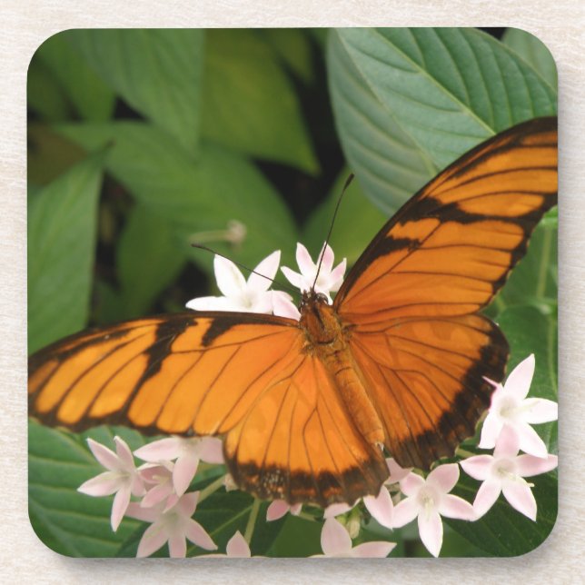 Orange Julia Butterfly Cork Untersetzer (Vorderseite)