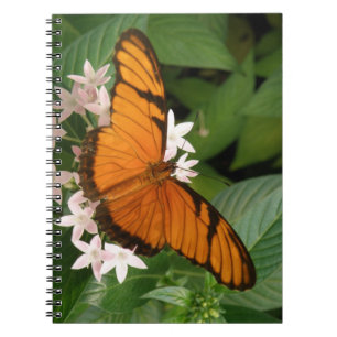 Orange Julia Butterfly-Notebook Notizblock