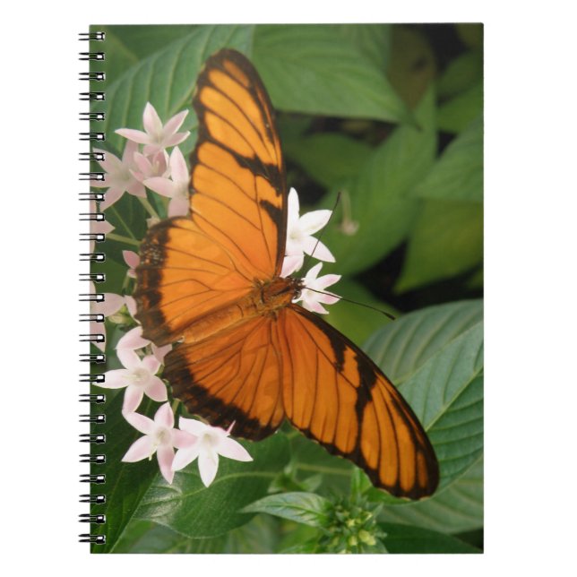 Orange Julia Butterfly-Notebook Notizblock (Vorderseite)
