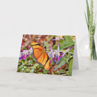Orange Julia Butterfly Scripting Geburtstagskarte