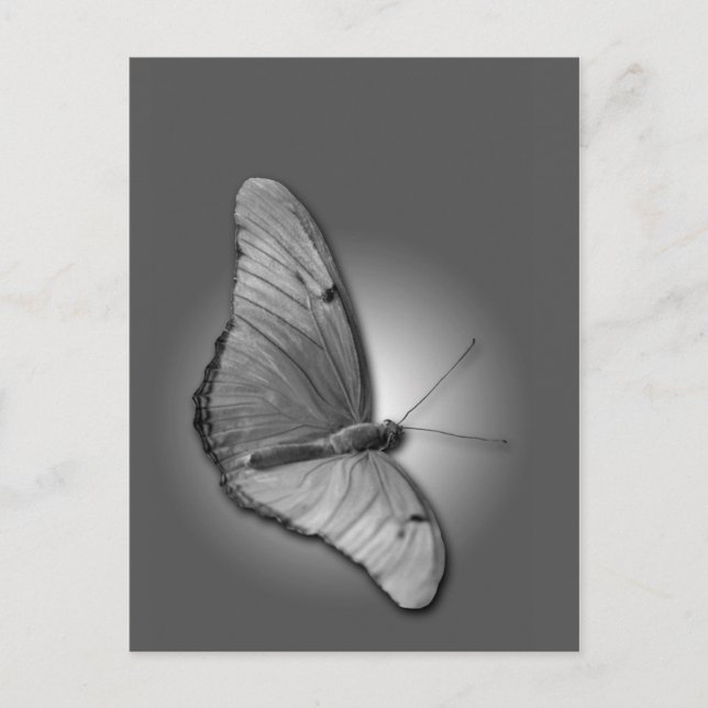 Orange Julia Postkarte (Vorderseite)