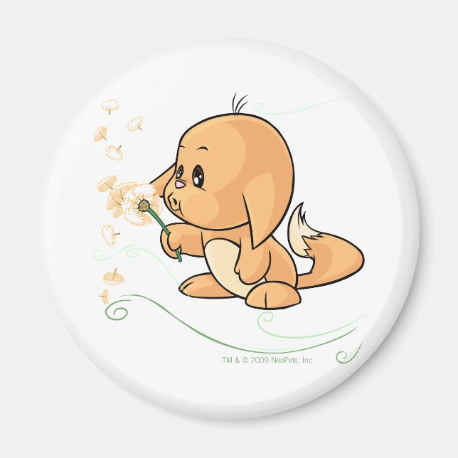 Orange Kacheek möchte auf einem Kronleuchter Magnet (Vorne)