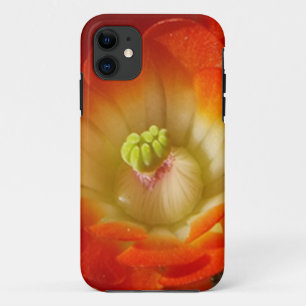 Orange Kaktus Blume iPhone Case