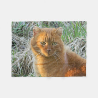 orange Katze Fleecedecke
