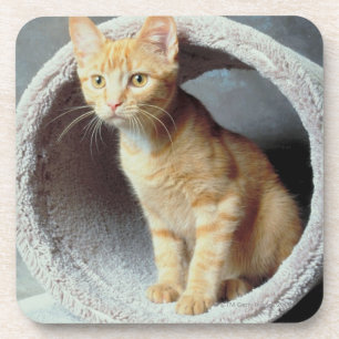 Orange Katze im Spielzeug Untersetzer