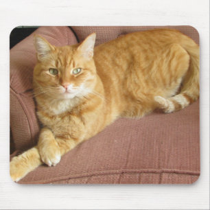 orange Katze Mousepad