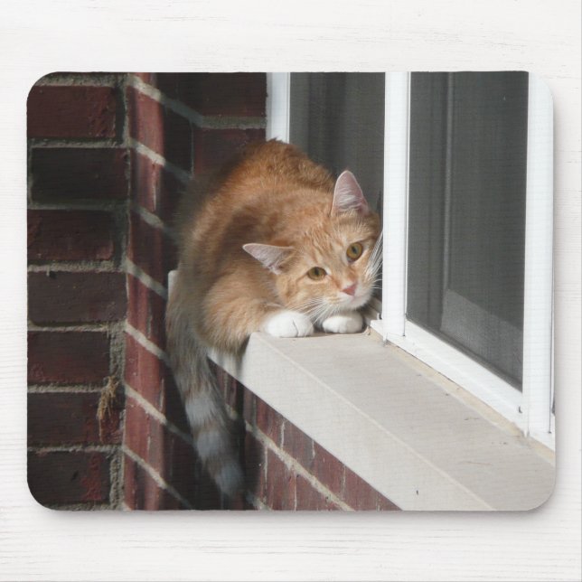 Orange Katze Mousepad (Vorne)