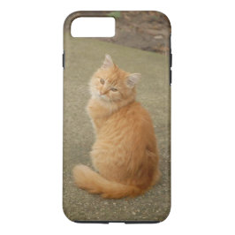 Orange Kitten Foto Case-Mate iPhone Hülle
