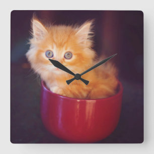 Orange Kitten In A Red Mug Quadratische Wanduhr