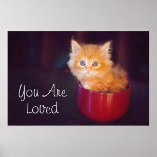 Orange Kitten in roter Tasse Poster