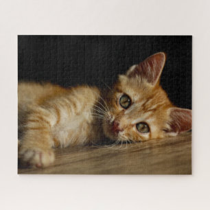 Orange Kitten Jigsaw Puzzle