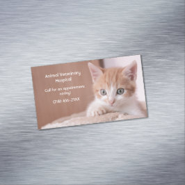 Orange Kitten Pet Care Magnetische Visitenkarte