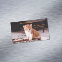 Orange Kitten Pet Care Services Ernennung Magnetische Visitenkarte