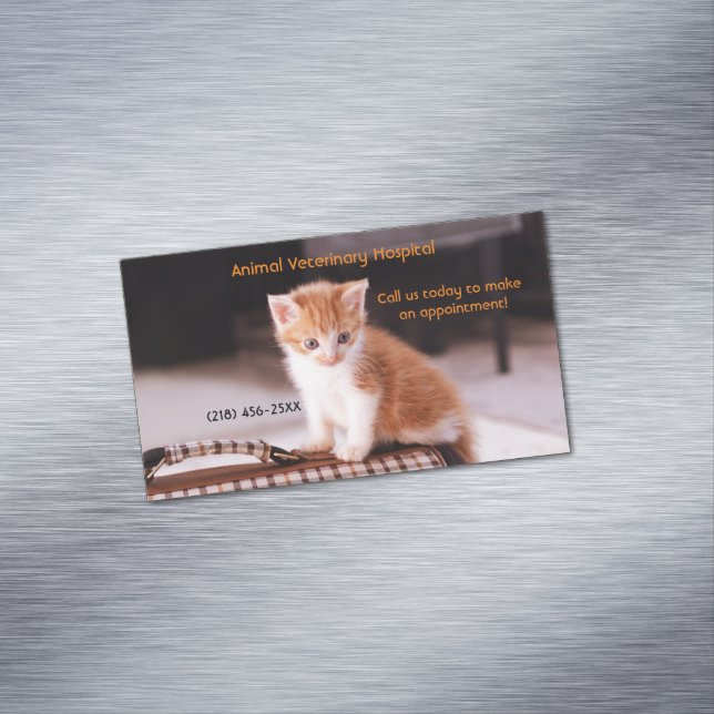 Orange Kitten Pet Care Services Ernennung Magnetische Visitenkarte (Beispiel)