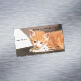 Orange Kitten Pet Care Services Ernennung Magnetische Visitenkarte