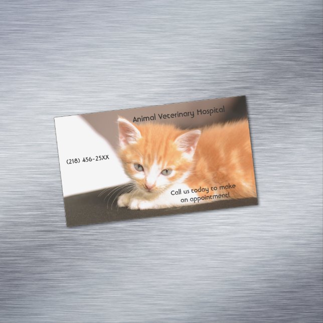 Orange Kitten Pet Care Services Ernennung Magnetische Visitenkarte (Beispiel)