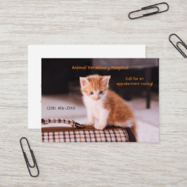 Orange Kitten Pet Care Termin Visitenkarte