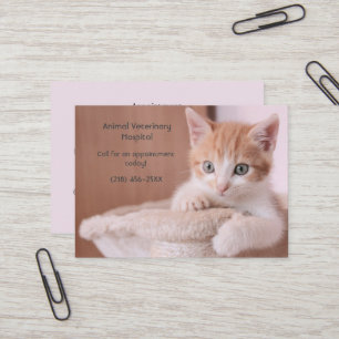 Orange Kitten Pink Pet Care Termin Visitenkarte