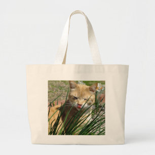 Orange Kitty gibt Raspberry Tote Bag Jumbo Stoffbeutel