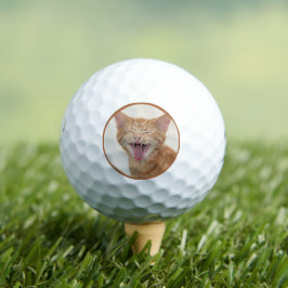 Orange Kitty - ich bin wieder in der Sandgrube? Golfball