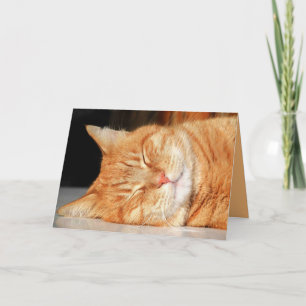 Orange Kitty Katze Süße Anpassbare Karte