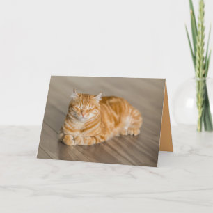 Orange Kitty Katze Süße Anpassbare Karte