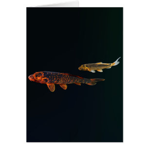 Orange Koi and Gold Koi