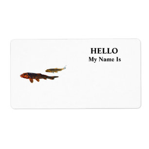 Orange Koi und Gold Koi