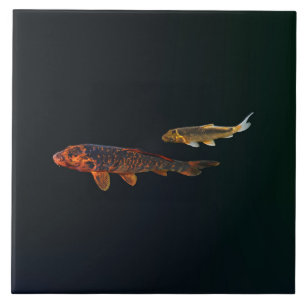 Orange Koi und Gold Koi Fliese