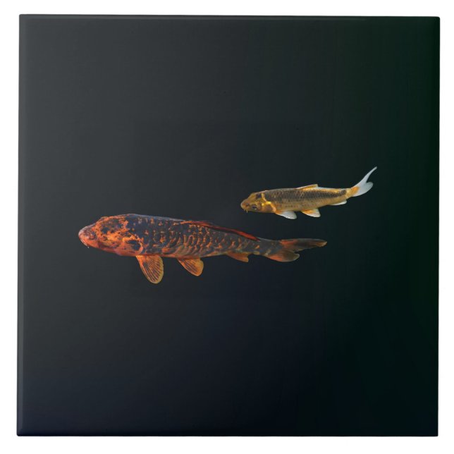 Orange Koi und Gold Koi Fliese (Vorderseite)