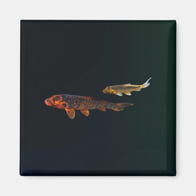 Orange Koi und Gold Koi Magnet (Vorne)